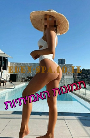 מוכן להתמודד, מוכנים להתמודד